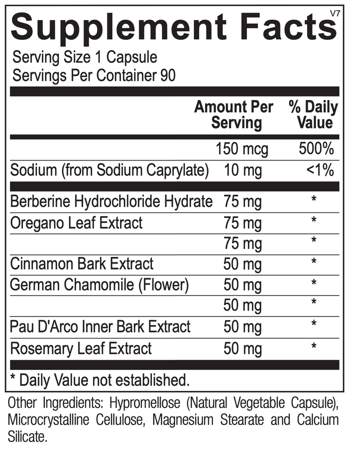 Candida Support
