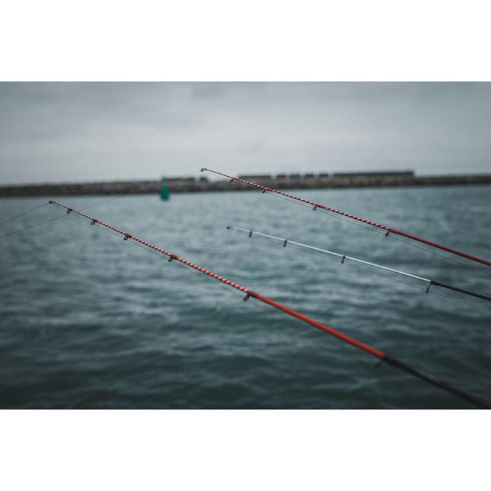 IMG_8406624_5