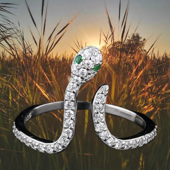 Double Heard Snake Ring 893905