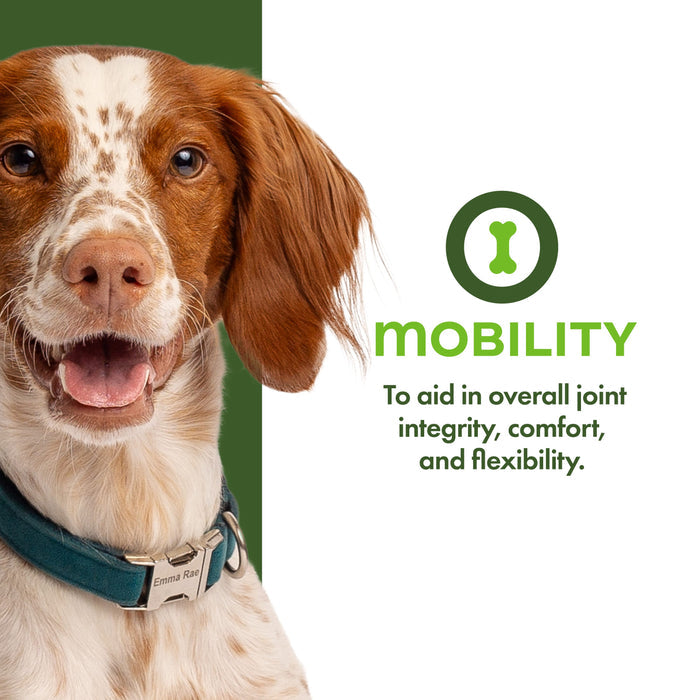 Fromm Family Mobility Functional Dog Treats
