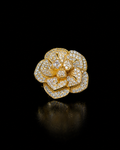 Women’s AD Zircon Rings